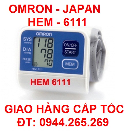Máy đo huyết áp HEM-6111